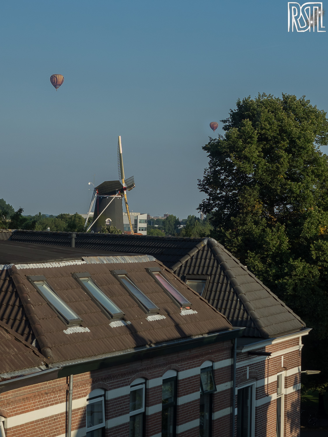 16 August 2016<BR>1/800 sec at f / 3.5 @ ISO 200<BR>OLYMPUS IMAGING CORP. E-M1 + OLYMPUS M.12-40mm F2.8