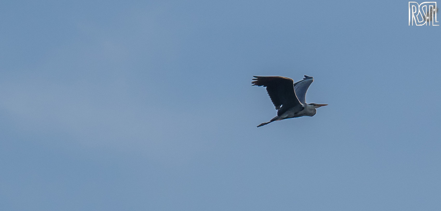 10 June 2016<BR>1/1250 sec at f / 3,5 @ ISO 200<BR>OLYMPUS IMAGING CORP. E-M1 + OLYMPUS 50-200mm Lens
