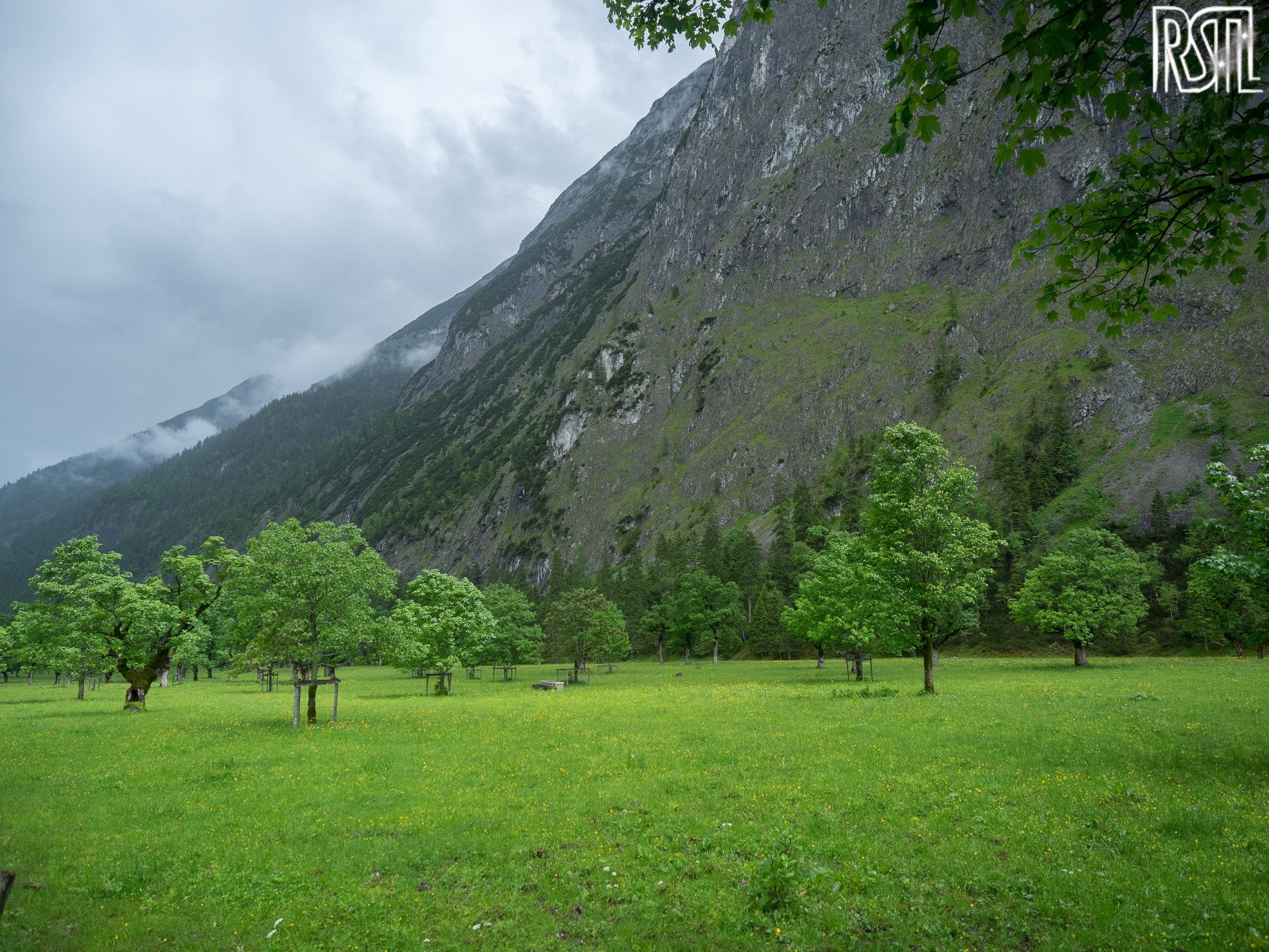18 June 2016<BR>1/400 sec at f / 2,8 @ ISO 200<BR>OLYMPUS IMAGING CORP. E-M1 + OLYMPUS M.12-40mm F2.8