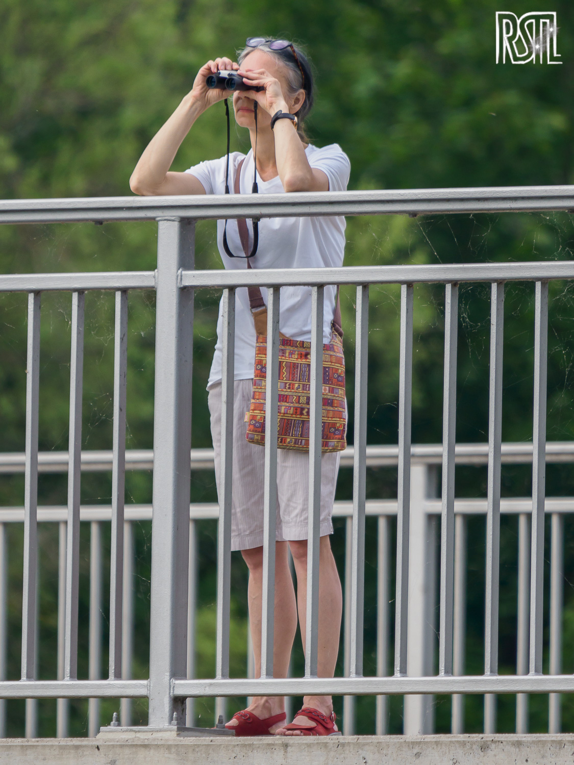 27 July 2019<BR>1/250 sec at f / 6,3 @ ISO 250<BR>OLYMPUS CORPORATION E-M1MarkII + LEICA DG 100-400/F4.0-6.3