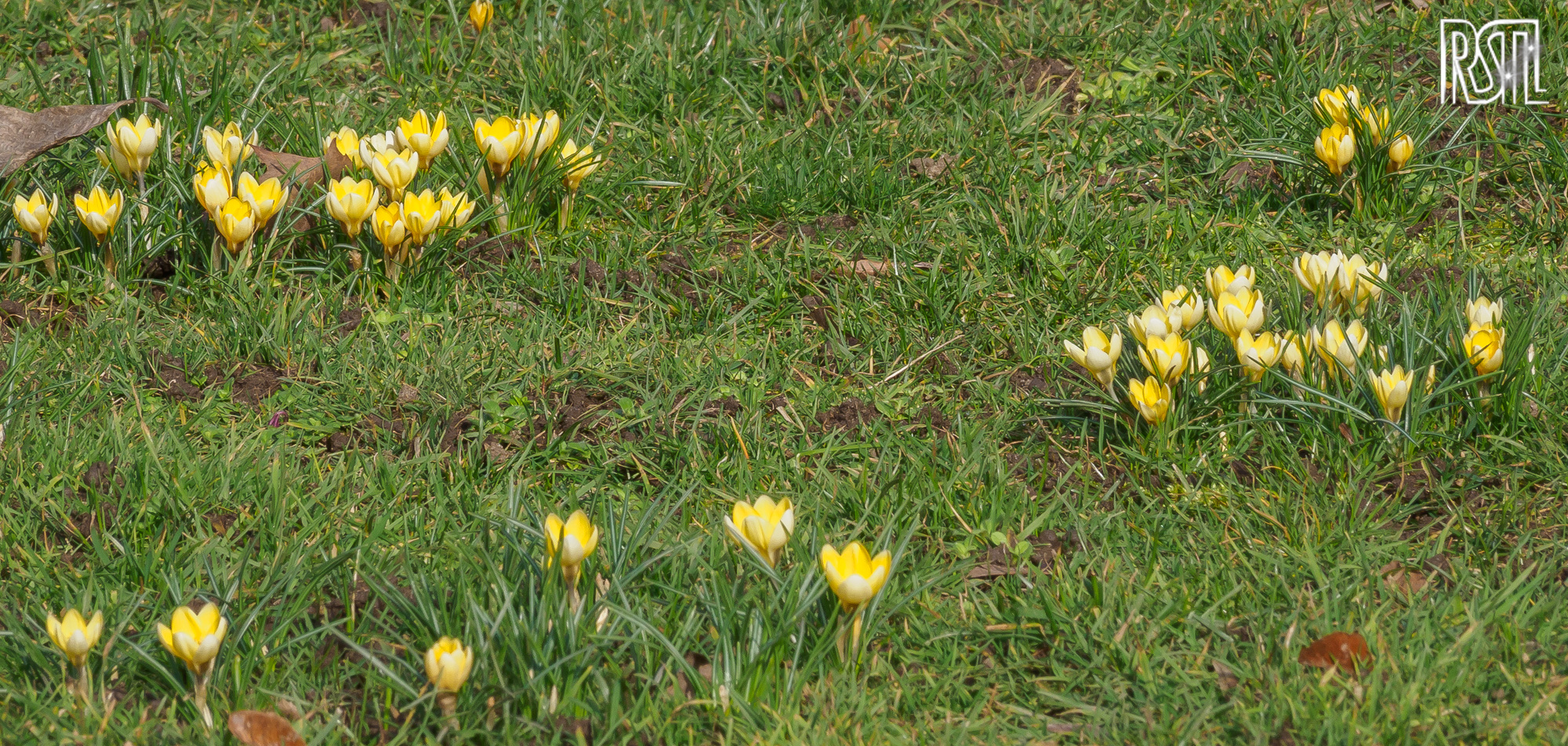 08 February 2020<BR>1/160 sec at f / 11 @ ISO 250<BR>OLYMPUS CORPORATION E-M1MarkII + OLYMPUS M.12-100mm F4.0