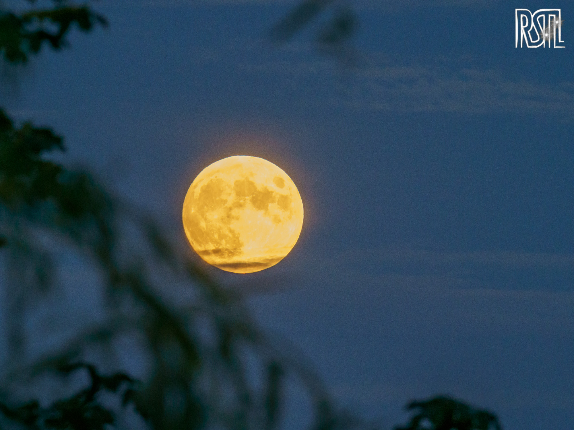 04 July 2020<BR>1/13 sec at f / 20 @ ISO 3200<BR>OLYMPUS CORPORATION E-M1MarkII + LEICA DG 100-400/F4.0-6.3