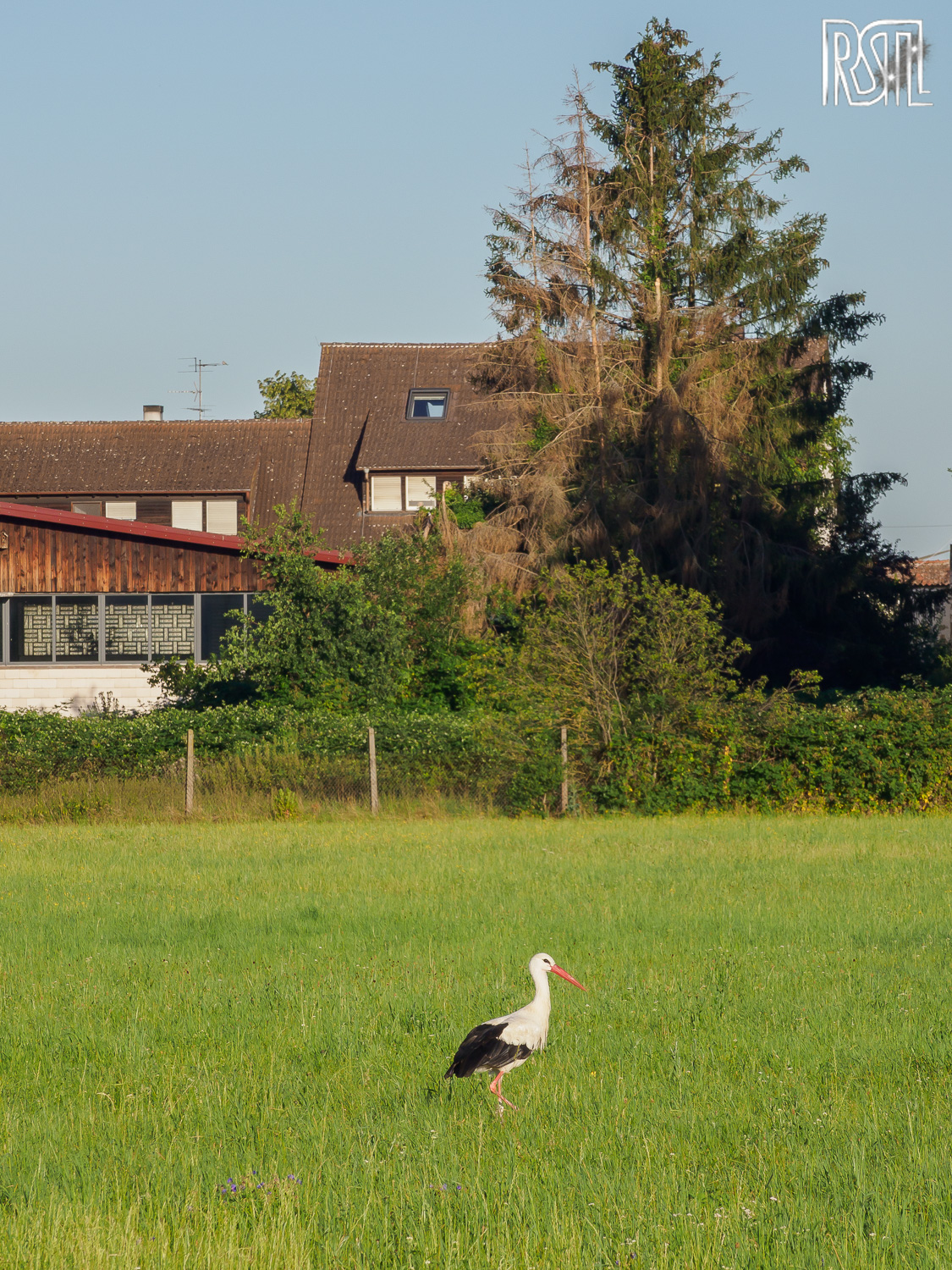 22 July 2020<BR>1/320 sec at f / 9,0 @ ISO 200<BR>OLYMPUS CORPORATION E-M1MarkII + OLYMPUS M.12-100mm F4.0