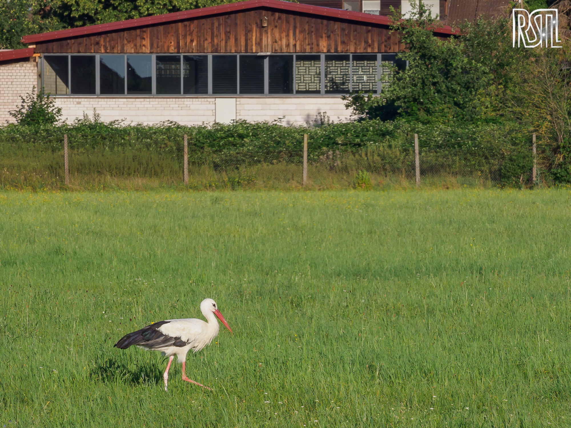 22 July 2020<BR>1/320 sec at f / 9,0 @ ISO 200<BR>OLYMPUS CORPORATION E-M1MarkII + OLYMPUS M.12-100mm F4.0