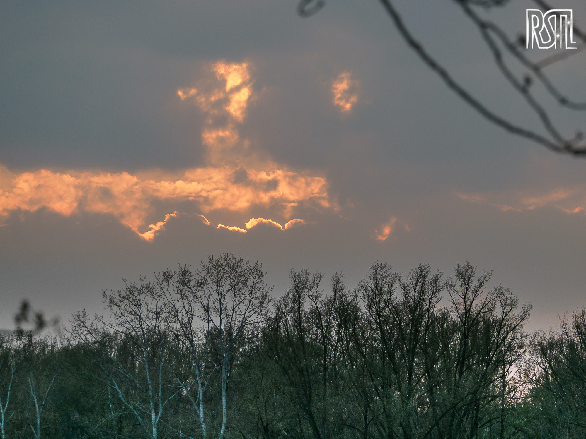 19 March 2020<BR>1/250 sec at f / 6,3 @ ISO 320<BR>OLYMPUS CORPORATION E-M1MarkII + LEICA DG 100-400/F4.0-6.3
