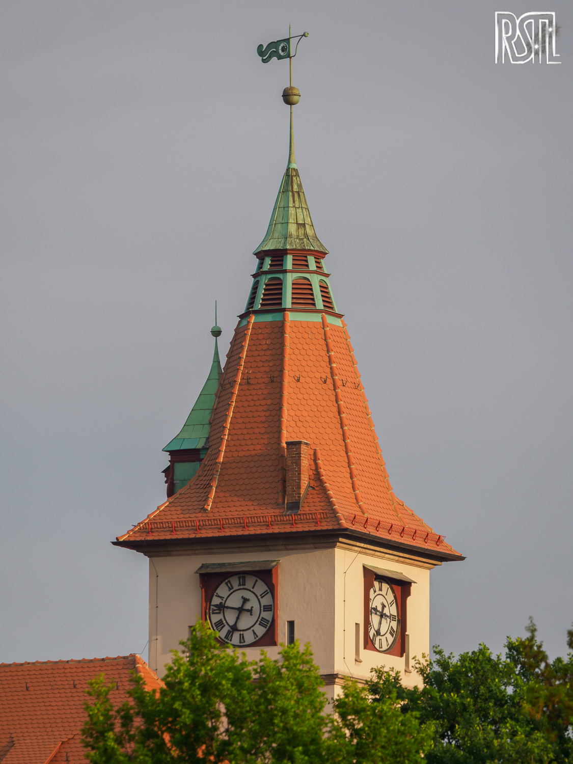 10 May 2020<BR>1/250 sec at f / 6,3 @ ISO 250<BR>OLYMPUS CORPORATION E-M1MarkII + LEICA DG 100-400/F4.0-6.3