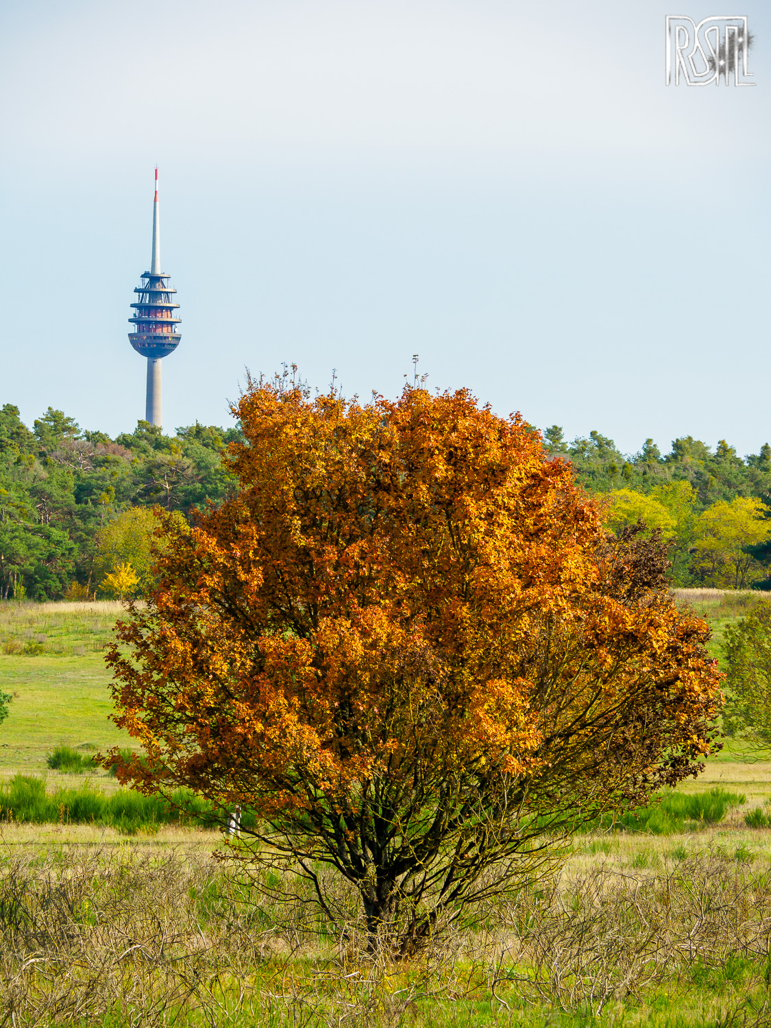 25 October 2020<BR>1/200 sec at f / 9,0 @ ISO 320<BR>OLYMPUS CORPORATION E-M1MarkII + LEICA DG 100-400/F4.0-6.3