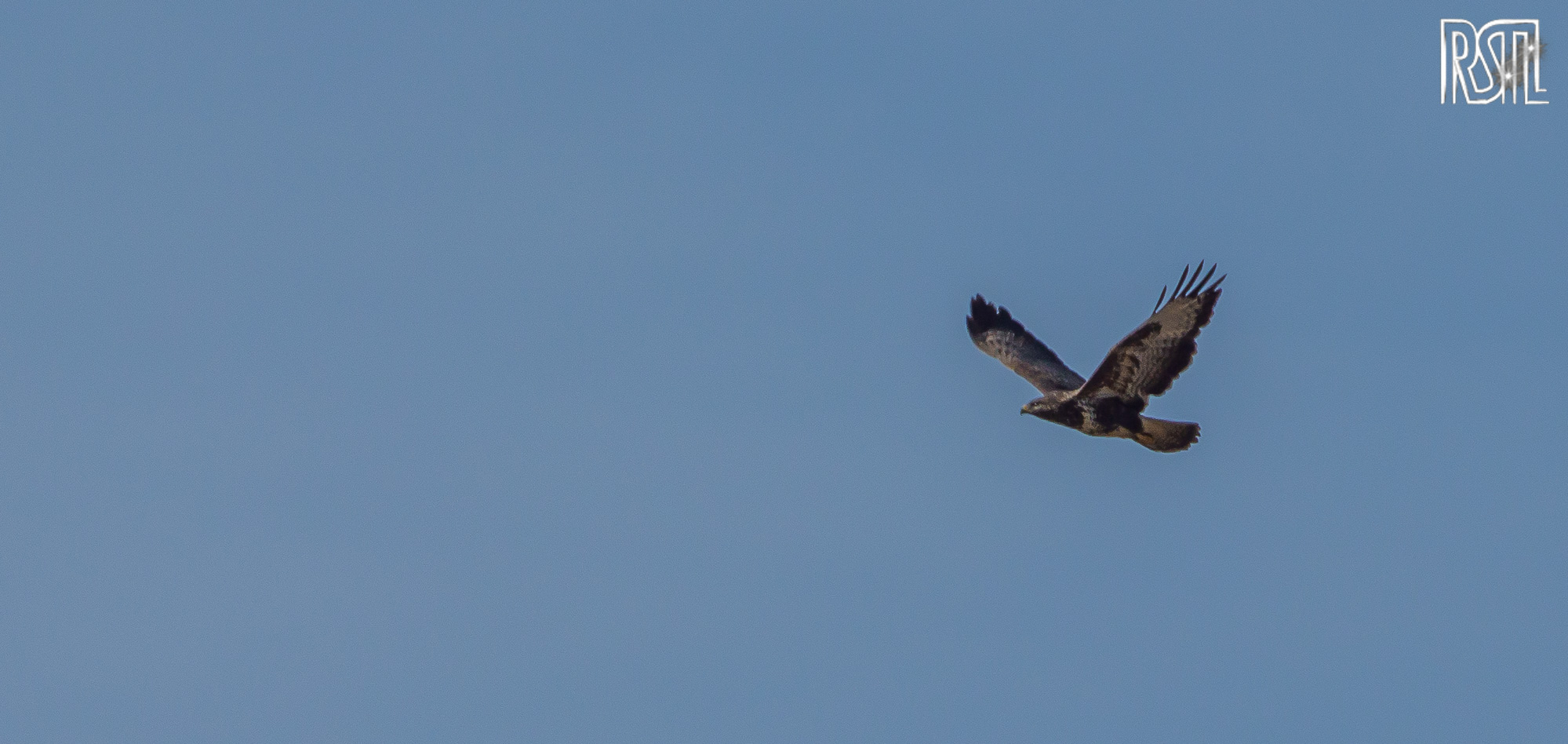 25 October 2020<BR>1/1000 sec at f / 8,0 @ ISO 200<BR>OLYMPUS CORPORATION E-M1MarkII + LEICA DG 100-400/F4.0-6.3