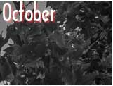 October 2016
