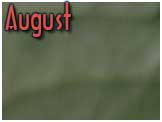 August
