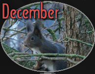 December