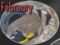 February