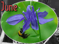 June