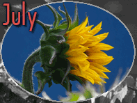 July