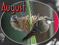 August
