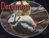 December