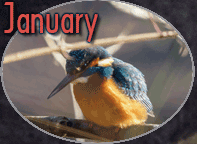 January