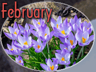 February