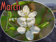 March