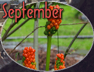 September
