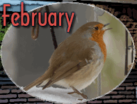 February