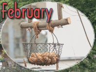February