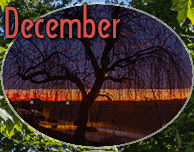 December