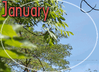 January