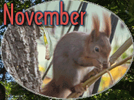 November